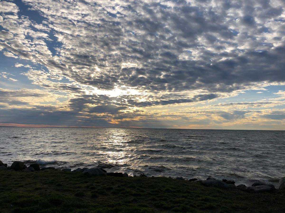 Refugium Raabenhorst Im Landhaus Am Haff Stolpe auf Usedom Esterno foto