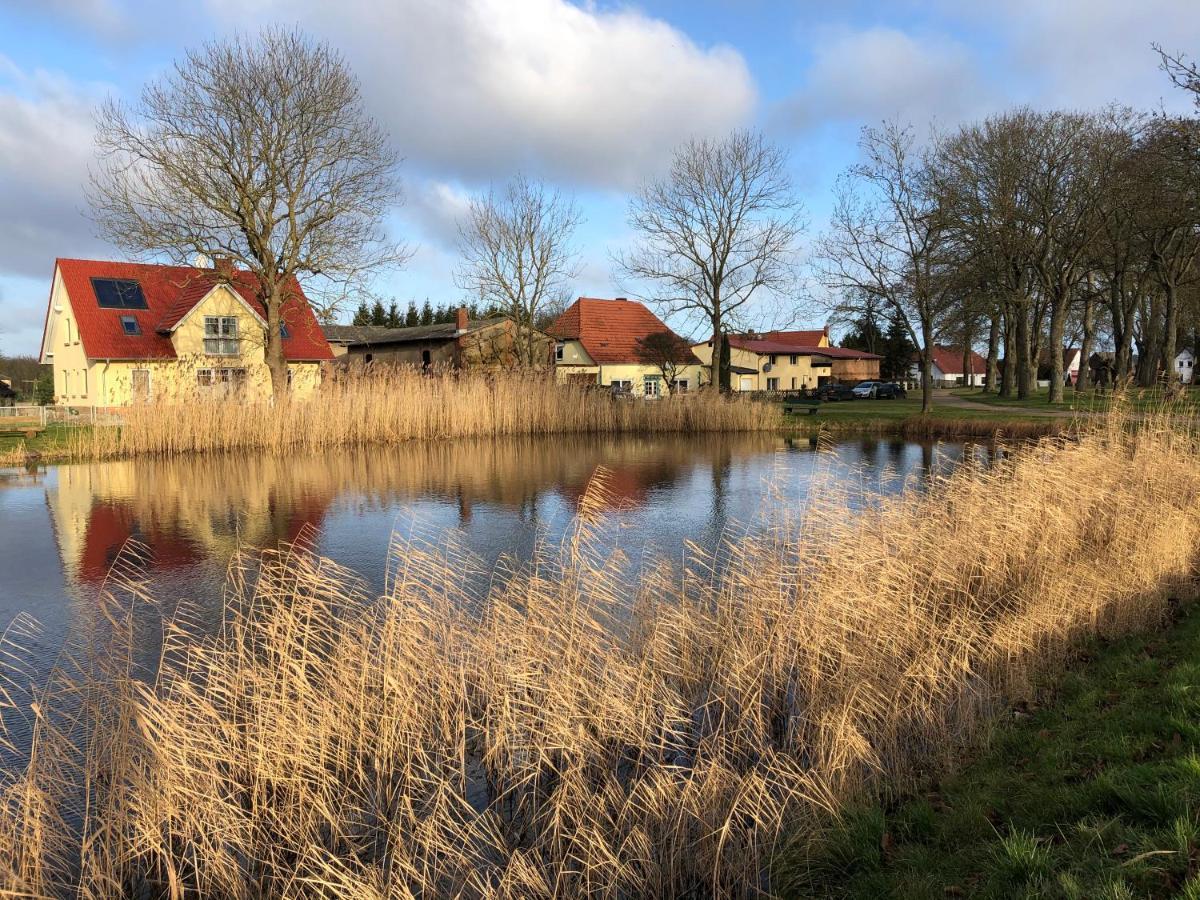 Refugium Raabenhorst Im Landhaus Am Haff Stolpe auf Usedom Esterno foto