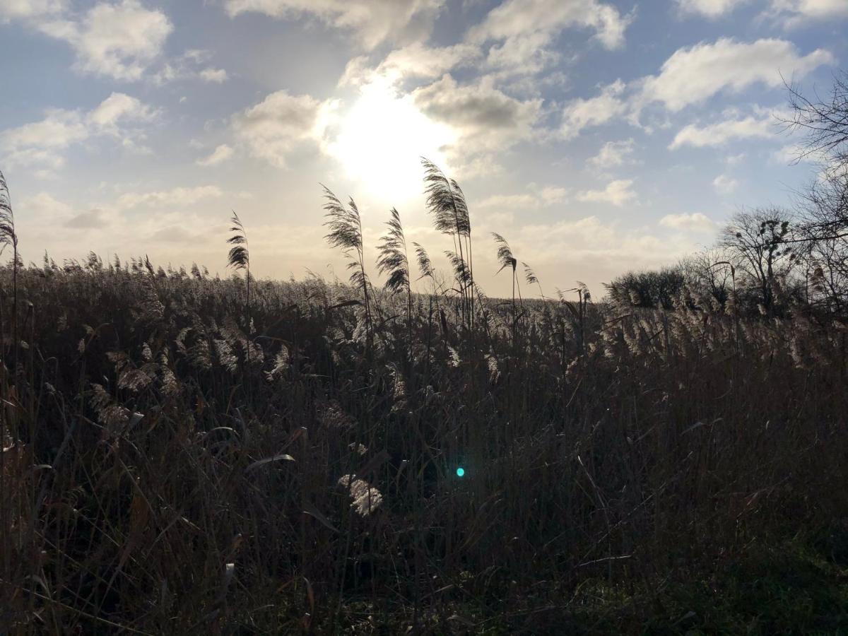 Refugium Raabenhorst Im Landhaus Am Haff Stolpe auf Usedom Esterno foto